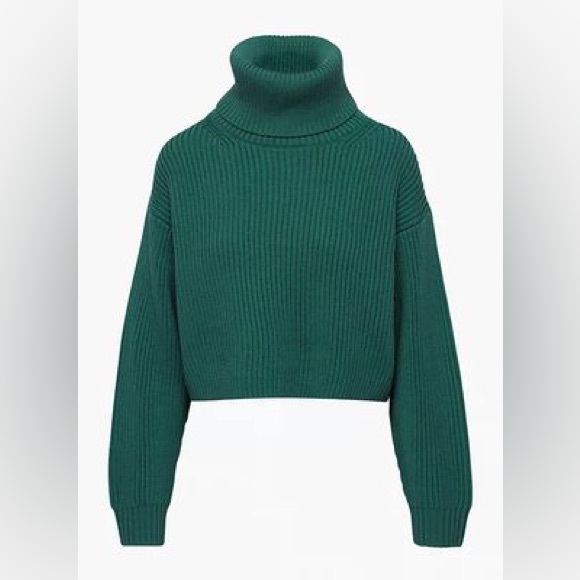 Aritzia Sweaters - Aritzia Babaton Guell Sweater
